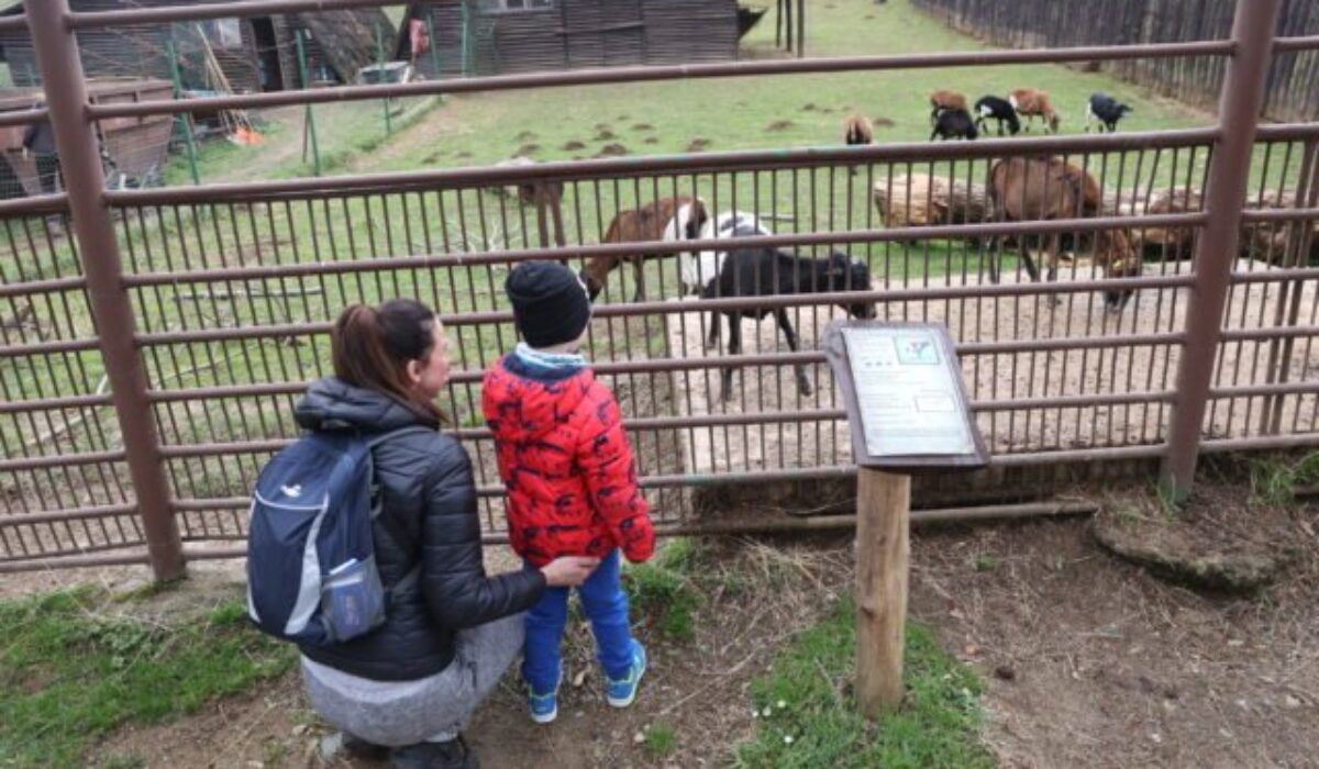 Košická ZOO chystá veľkonočný program plný zážitkov, zároveň otvorí aj 40. sezónu