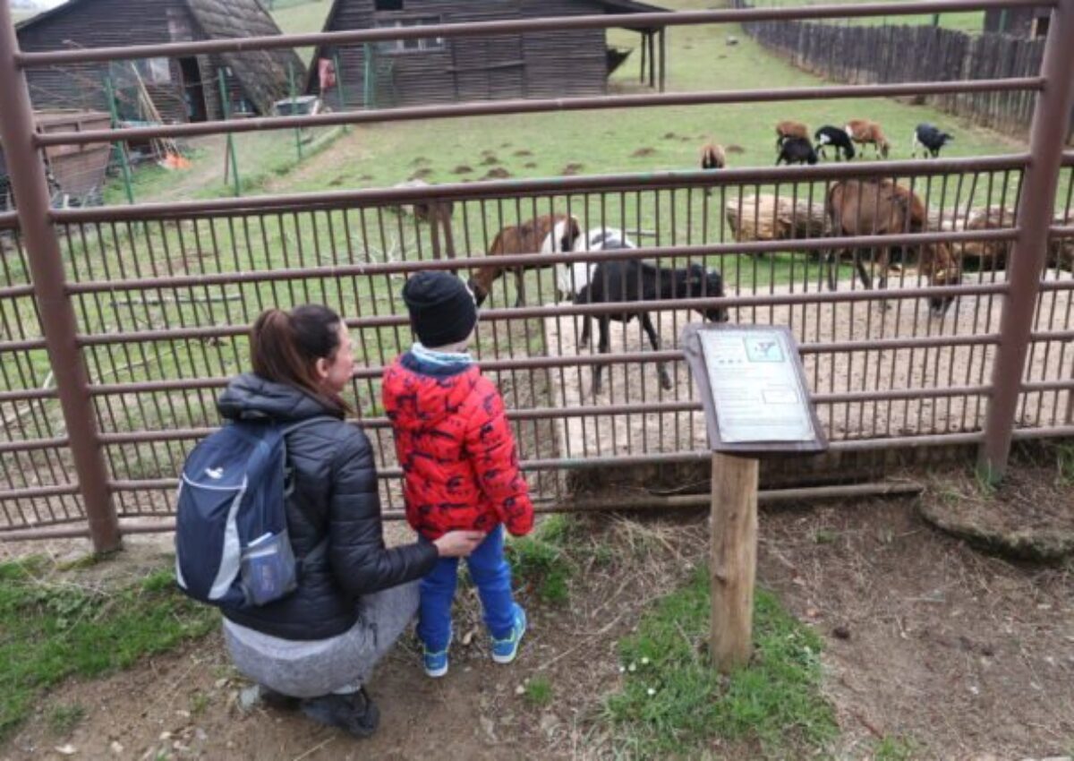 Košická ZOO chystá veľkonočný program plný zážitkov, zároveň otvorí aj 40. sezónu