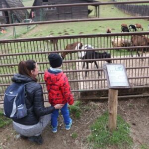 Košická ZOO chystá veľkonočný program plný zážitkov, zároveň otvorí aj 40. sezónu