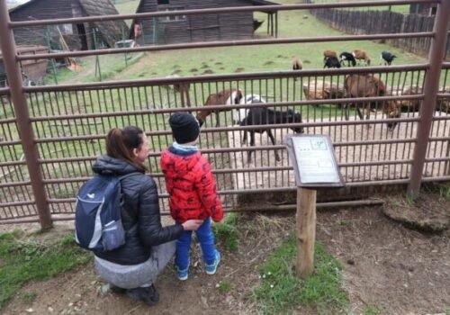 Košická ZOO chystá veľkonočný program plný zážitkov, zároveň otvorí aj 40. sezónu