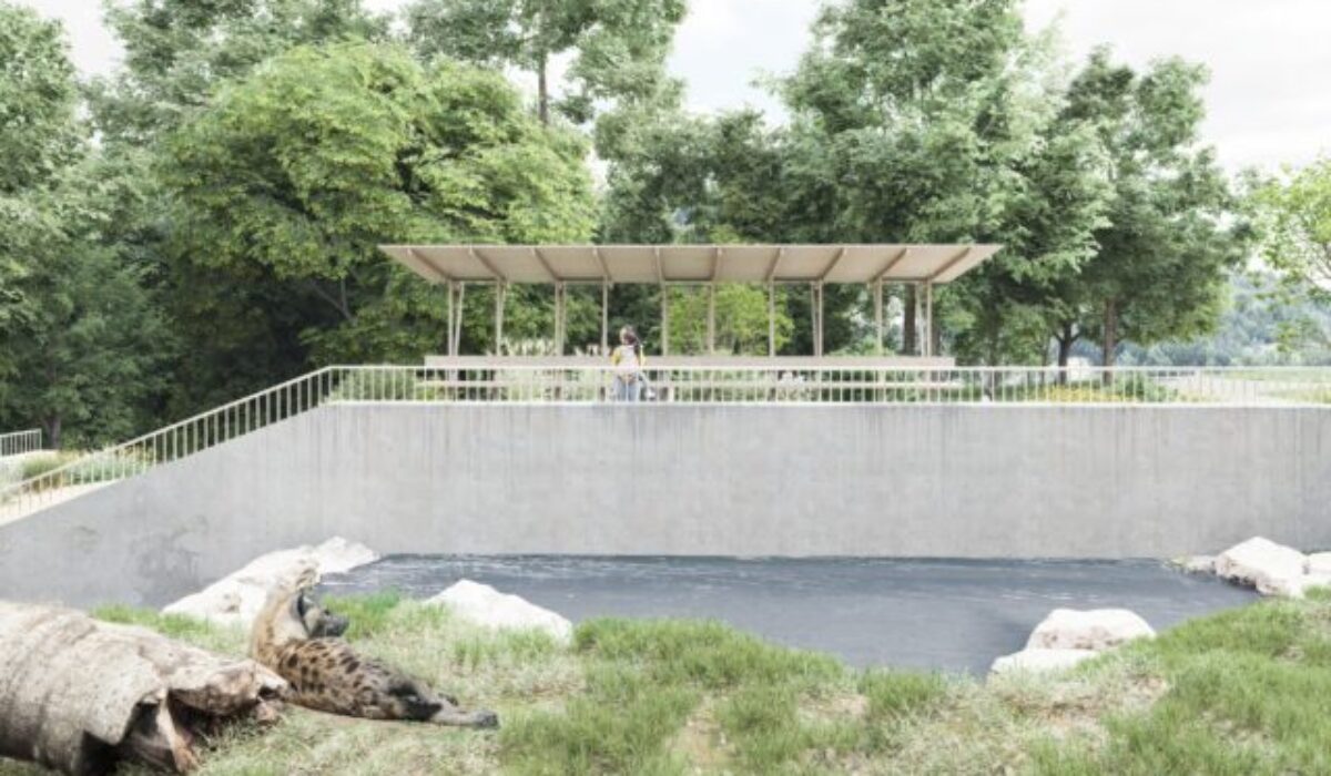 Bratislavská ZOO pripravuje nový výber pre hyeny, zameraný bude na bezpečie zvierat aj autentický zážitok-  FOTO