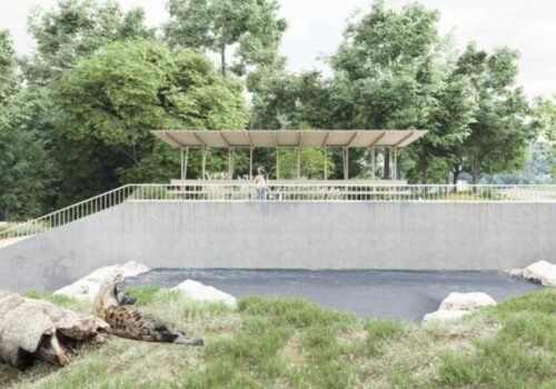 Bratislavská ZOO pripravuje nový výber pre hyeny, zameraný bude na bezpečie zvierat aj autentický zážitok-  FOTO