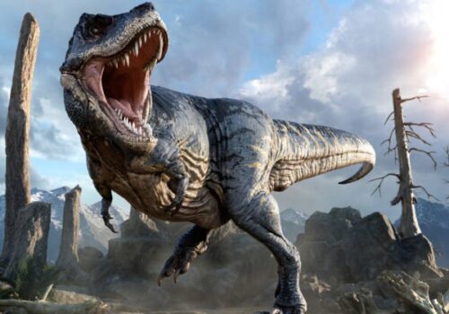Vedci objavili „posledného titana“. Obrovský dinosaurus z Thajska vážil ako deväť slonov