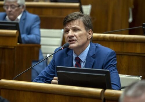 Smer reaguje na Hlinovu „urážlivú“ nášivku, Gašpar ho vykázal zo sály a poslanci označili za „veľké decko“ – VIDEO