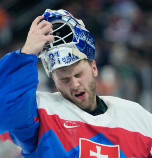 Český skaut brankárov by do NHL vzal Gajana. Hlavaj však v profilige nemá budúcnosť, toto mu vytkol – FOTO