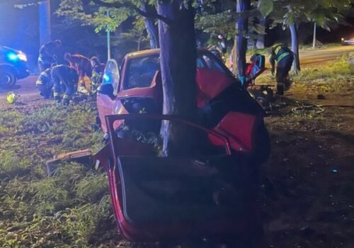 Mladá vodička vo vysokej rýchlosti narazila priamo do stromu, vážna nehoda sa stala v Bratislave – FOTO