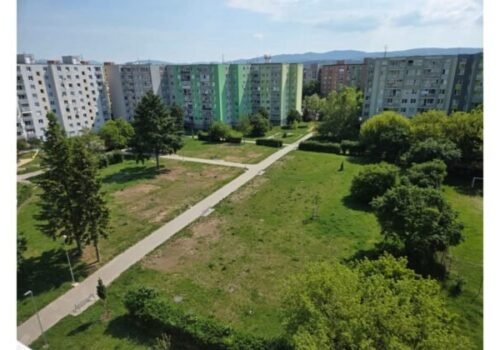 Kaufland dáva mestám zelenú: Rozhodnite, kde pribudnú nové stromy a kvety