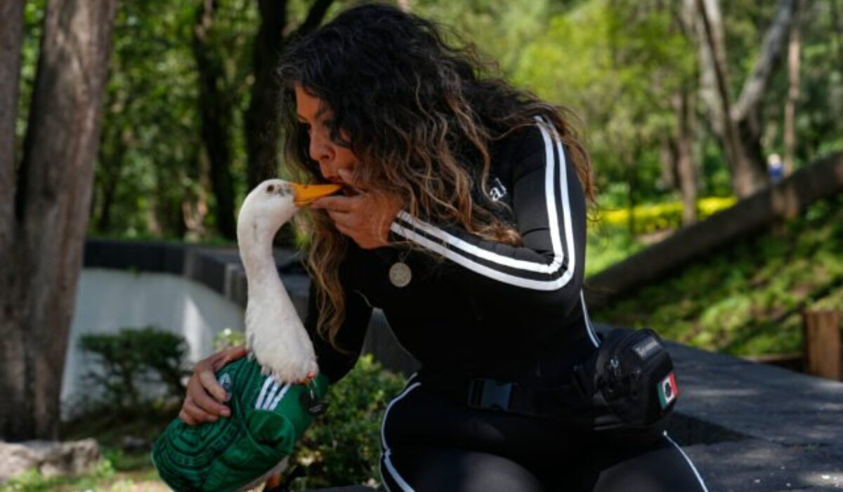 42740_mexico_wcup_mascot_19724-640x420.jpg Ukradol si všetku pozornosť! Káčer Merlin sa stal veľvyslancom Mexika na MS 2026 – VIDEO