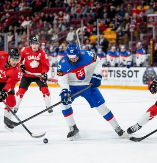 Päť Slovákov by malo prejsť draftom NHL. Najlepšie šance má Goljer s prognózou 34. miesta – VIDEO