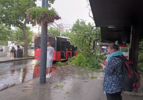 Búrka v Bratislave napáchala rozsiahle škody, na Hlavnej stanici spadol strom na prístrešok autobusovej zastávky – FOTO