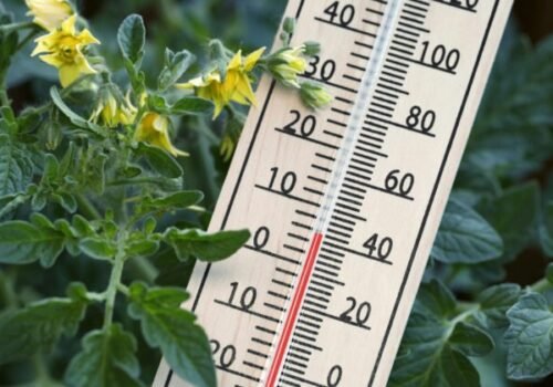 Na Slovensku padol nový teplotný rekord, v Turni nad Bodvou namerali 41 stupňov Celzia