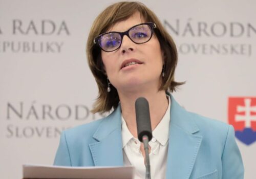 Remišová objavila „kauzu storočia“: Blato v lese po daždi