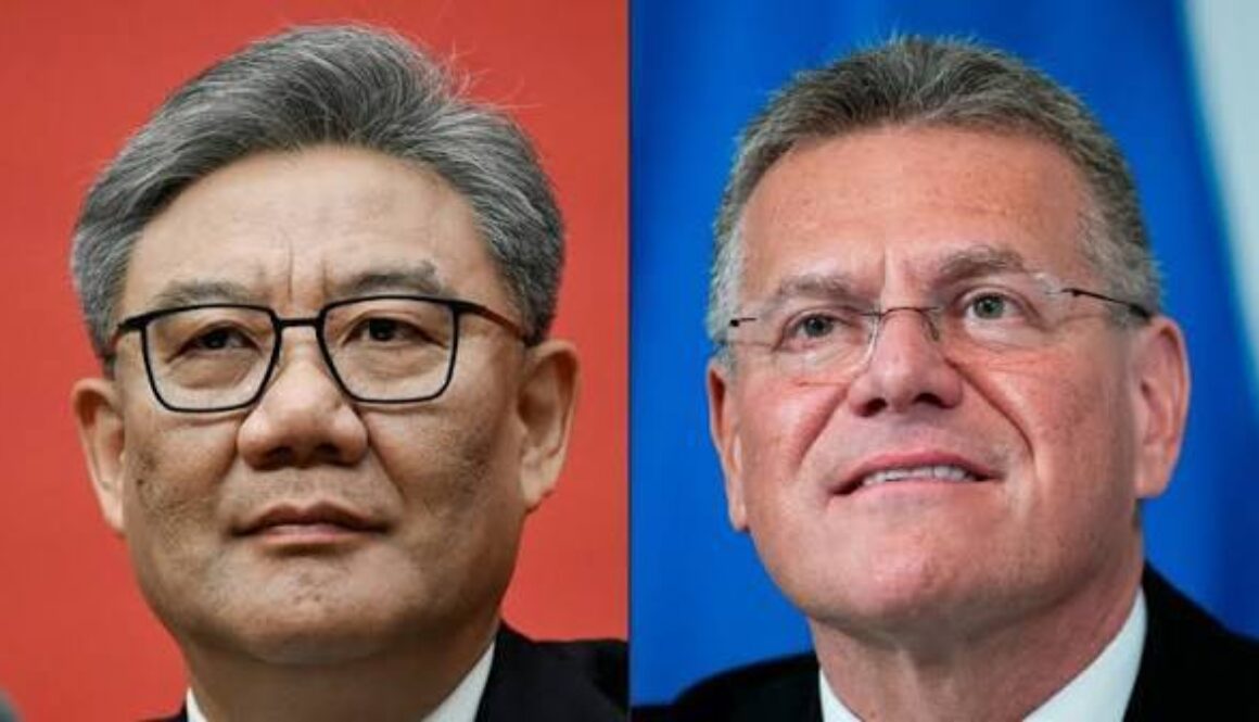 Európske firmy sú od číny čoraz závislejšie, nie menej, tvrdí šéf európskej komisie pre obchod