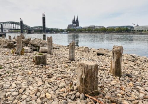 Top foto dňa (3. august 2026): Najnižšie hladiny riek Rýn a Dunaj, hustá hmla a obnova Znievskeho hradu
