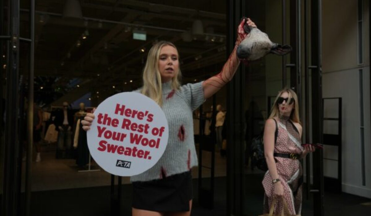 Top foto dňa (18. august 2026): Protest, následky zemetrasenia, záchrana morčiat a kostrové nálezy